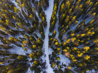 冬季森林俯视道路.阳光明媚的空中风景.
