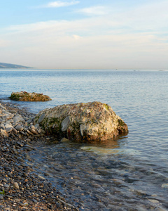 旅游业 美女 波动 夏天 海滩 地平线 假期 海湾 风景