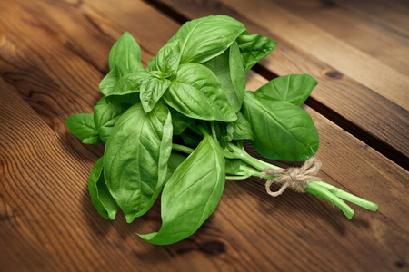 树叶 蔬菜 意大利语 沙拉 自然 调料品 食物 草药 健康