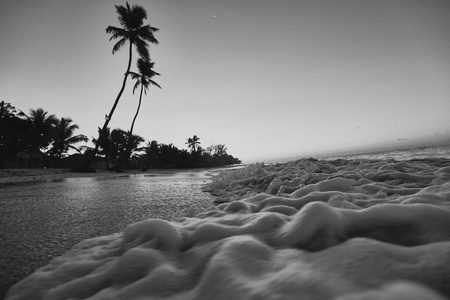 海滩 热带 椰子 旅游业 天空 波动 美女 美丽的 海景