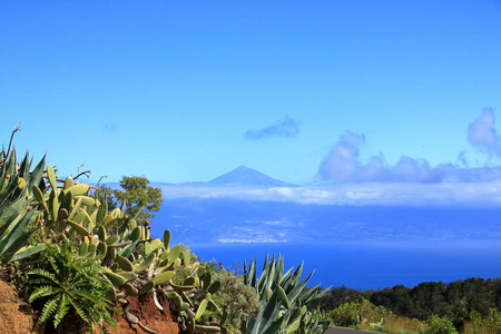 假日 米拉多 海洋 海岸 乡村 戈梅拉 旅游业 火山 风景