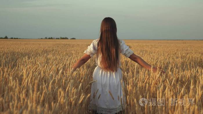 快乐的小女孩慢腾腾地跑过田野，用手抚摸着麦穗。美丽自由的女人在夕阳的背景下，在麦田里享受着温暖的阳光。女孩旅行。