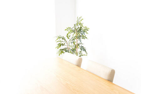 房间 公寓 空的 房子 厨房 树叶 木材 奢侈 家具 桌子