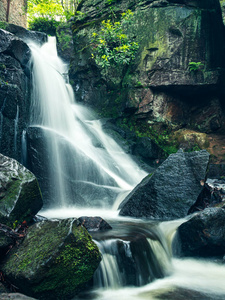 落下 国家 美丽的 森林 风景 生态学 德比郡 岩石 植物