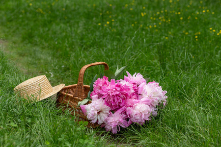 开花 礼物 花的 牡丹 美丽的 浪漫的 篮子 自然 花束