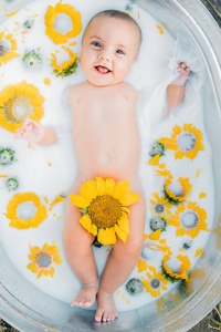 Cute little baby boy portrait in milk bath with sunflowers. 