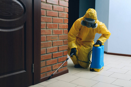 商业 杂工 喷雾器 服务 控制 房子 防毒面具 成人 害虫