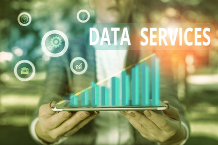 文字书写文本数据服务。帮助为客户管理数据的第三方服务的业务概念。