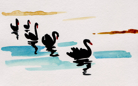 天鹅 反射 中国人 日本人 水彩 动物 照片 海滩 绘画