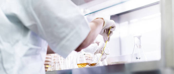 在冠状病毒疫苗开发实验室研究设施从事层流工作的女科学家。