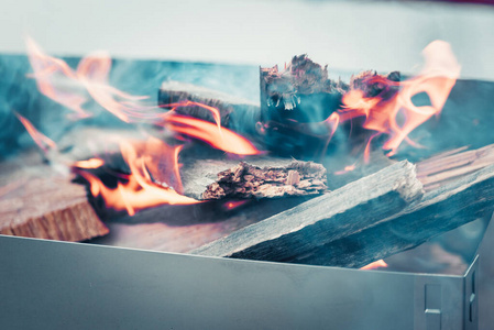 聚会 火盆 温暖 金属 烧烤 烤肉串 火炉 焙烧炉 野餐