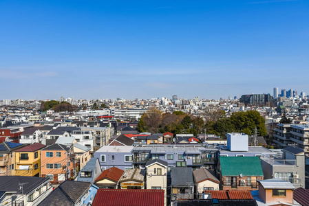 观光 外部 全景图 中心 市中心 涩谷 居民 旅行 建筑