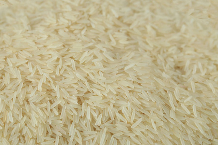 亚洲干鲜稻种