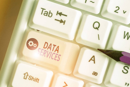 显示数据服务的文本标志。概念图片第三方服务，帮助客户管理数据。