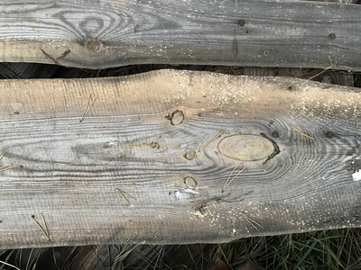 老年人 外部 纹理 木板 镶木地板 木材 橡树 硬木 桌子