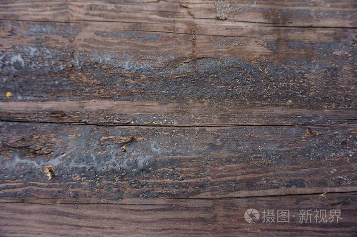 面板 材料 自然 纹理 硬木 木材 古老的 粮食 木板 地板