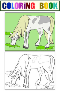 儿童绘本，套装。一匹马在草地上吃草。