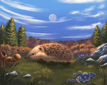 毛皮 森林 绘画 木材 刺猬 自然 动物 哺乳动物 艺术