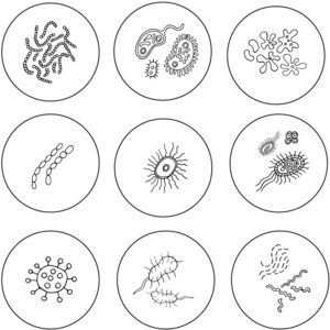 生物学 健康 病毒学 人类 科学 医学 签名 纸张 偶像