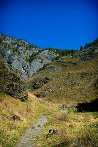 通往阿尔泰山脉的落基山路