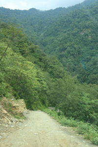 天空 夏天 全景图 木材 岩石 自然 环境 旅行 风景 山谷