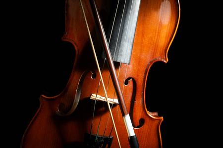 奢侈 古董 表演 木材 小提琴 美女 纹理 声音 娱乐 轮廓