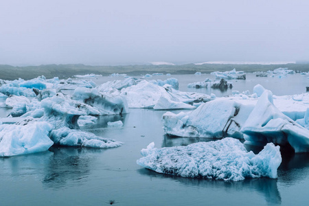 欧洲 冰川 海岸 冰山 寒冷的 美丽的 泻湖 反射 北欧