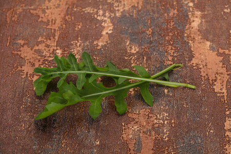 健康 维生素 营养 植物 芝麻菜 沙拉 特写镜头 树叶 草本植物