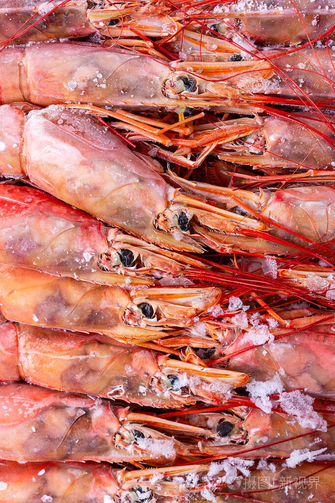 冻大生生红虾背景