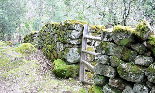 森林 喷泉 村庄 旅游业 瀑布 壁炉 闲逛 科西嘉岛 全景图