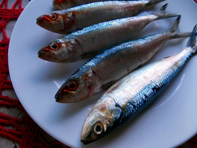 美味的 沙丁鱼 盘子 沙丁油鱼 地中海 餐厅 海的 饮食