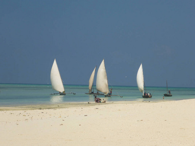 海岸线 运动 自然 坦桑尼亚 海滩 航海 夏天 天空 桑给巴尔
