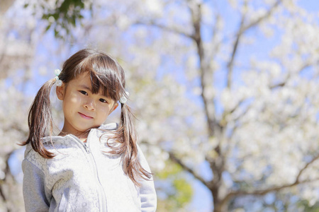 蓝天 粉红色 女人 植物 春天 人类 微笑 樱桃 女孩 小孩