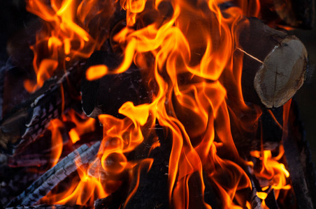 特写镜头 木炭 篝火 木柴 热的 燃烧 火焰 能量 烧烤