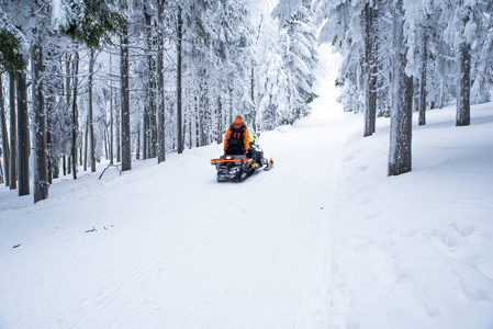 雪地摩托 滑雪 比赛 运动 自然 活动 乐趣 森林 旅行者