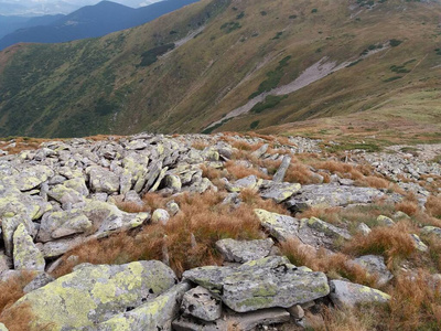 轨道 喀尔巴阡山 乌克兰 美女 洁净空气 旅游业 地平线