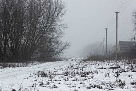 冬末的乡村公路。