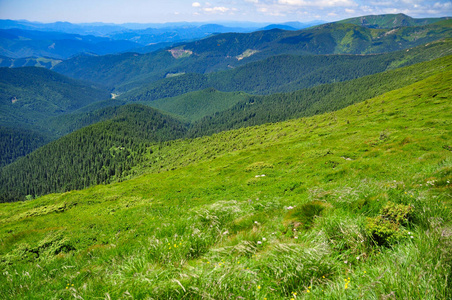 全景图 乌克兰 天空 风景 喀尔巴阡山 山坡 旅游业 自然