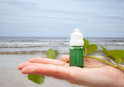 身体 救济 研究 植物 花园 海滩 草药 瓶子