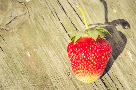 花园 甜点 甜的 草莓 素食主义者 维生素 美味的 水果