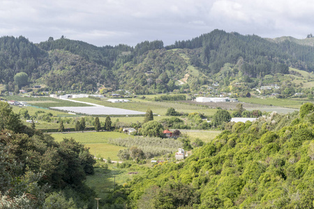 旅游业 国家 自然 风景 塔斯曼 栽培 植被 旅游 山谷