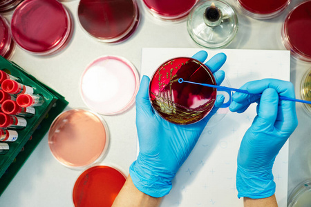 玻璃 研究 健康 测试 生物技术 实验室 化学 生物学 科学家