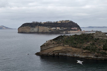 地中海 悬崖 海岸 公园 自然 多莫斯 凝灰岩 沿海 植被