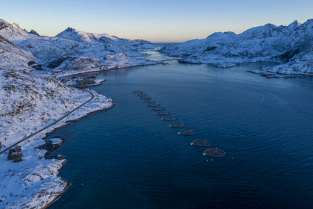 自由 挪威 环境 黄昏 风景 季节 旅行 冬天 外部 生态学
