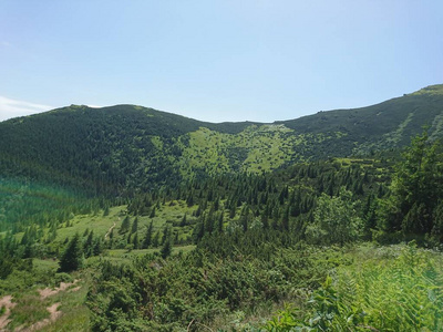 风景 自然 森林 喀尔巴阡山 旅游业 乌克兰 天空 山坡