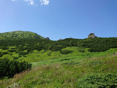 自然 全景图 乌克兰 风景 旅游业 山坡 天空 喀尔巴阡山