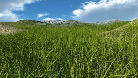 致使 环境 植物 农业 天空 生长 草地 风景 石头 季节