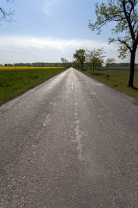 国家 开车 高速公路 夏天 自然 旅行 风景 指向 运动