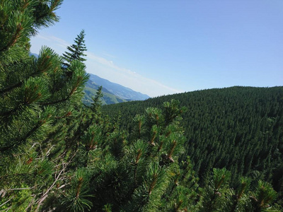 喀尔巴阡山 森林 乌克兰 天空 自然 风景 山坡 旅游业