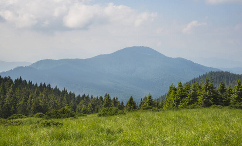 草地 小山 自然 颜色 环境 喀尔巴阡山 季节 山谷 森林